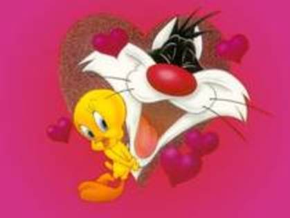 tweeti - tweety