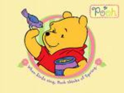 WINNIE THE POOH