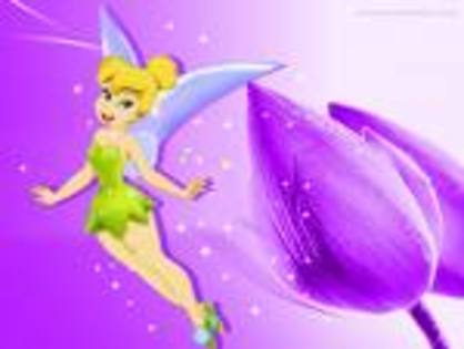 beauty - TinkerBell