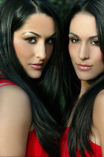 bella twins - bella twins