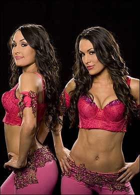 bella twins - bella twins