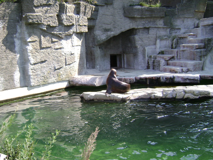 DSC02837 - zoo Viena