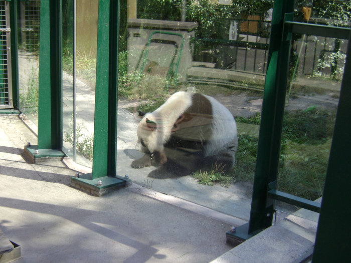 DSC02851 - zoo Viena