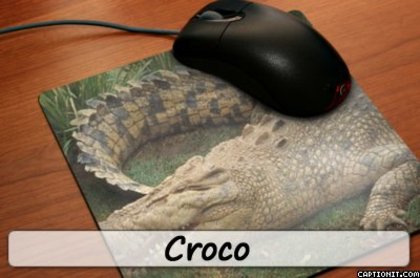 Croco - Poze cu animale modificate