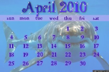Calendar - Poze cu animale modificate