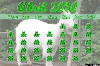 Calendar - Poze cu animale modificate