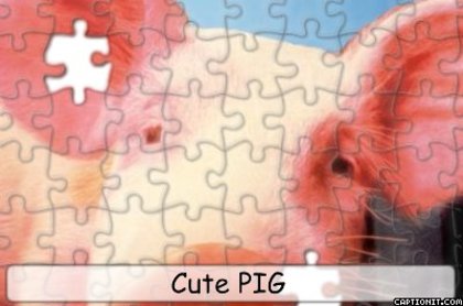 Puzzle porcusor - Poze cu animale modificate