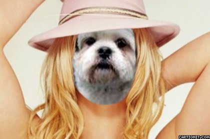 CAINE BRITNEY LOL - Poze cu animale modificate