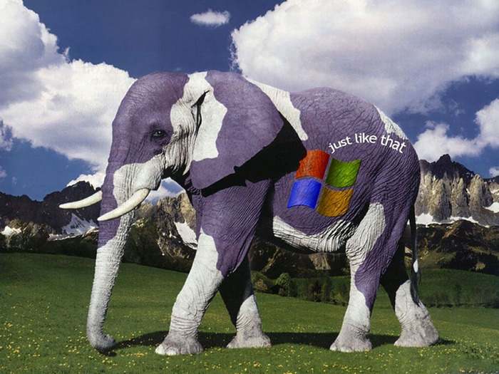 Elefant MILKA pc