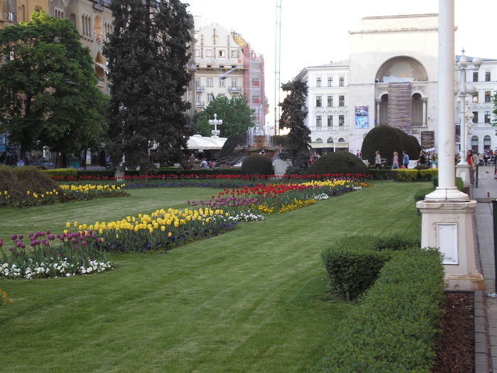 P1011647 - timisoara - centru