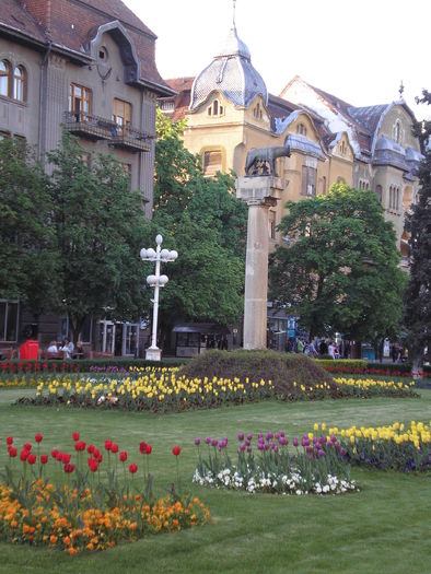 P1011649 - timisoara - centru