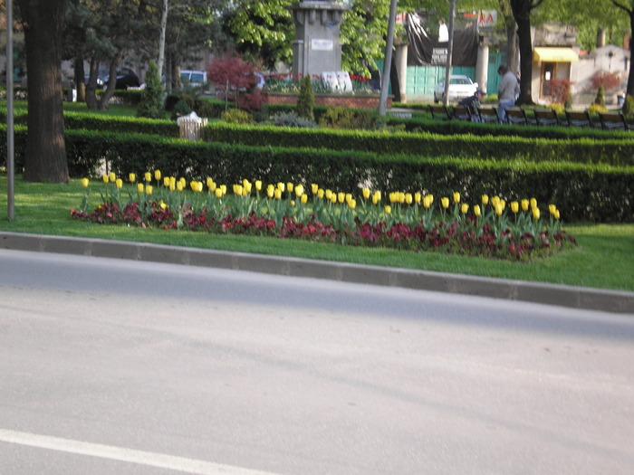 P1011604 - timisoara - centru