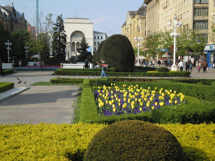 P1011598 - timisoara - centru