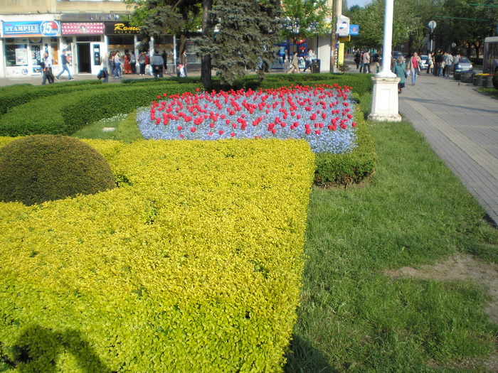 P1011599 - timisoara - centru