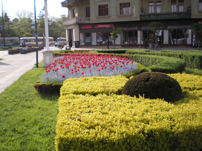 P1011600 - timisoara - centru