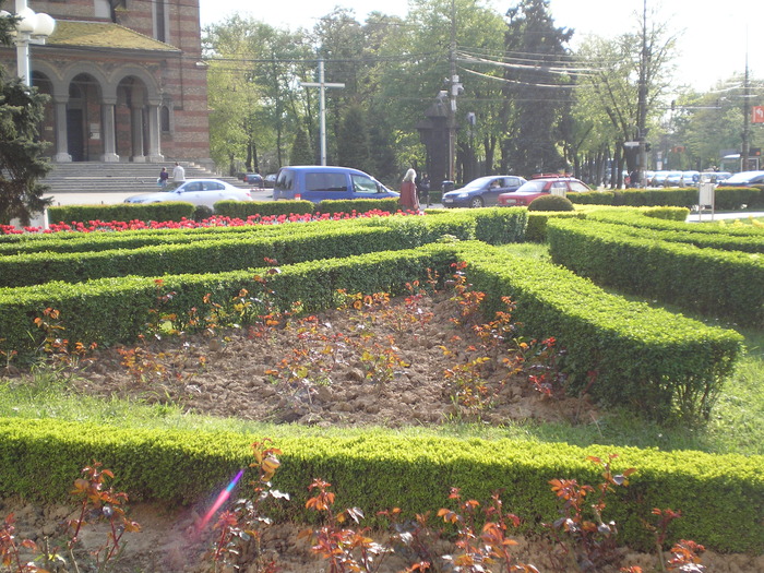 P1011602 - timisoara - centru