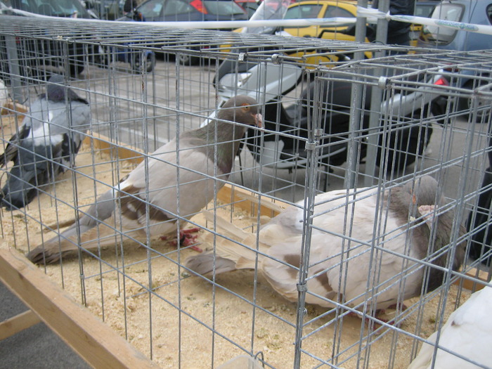 IMG_0809 - 2010 expo it