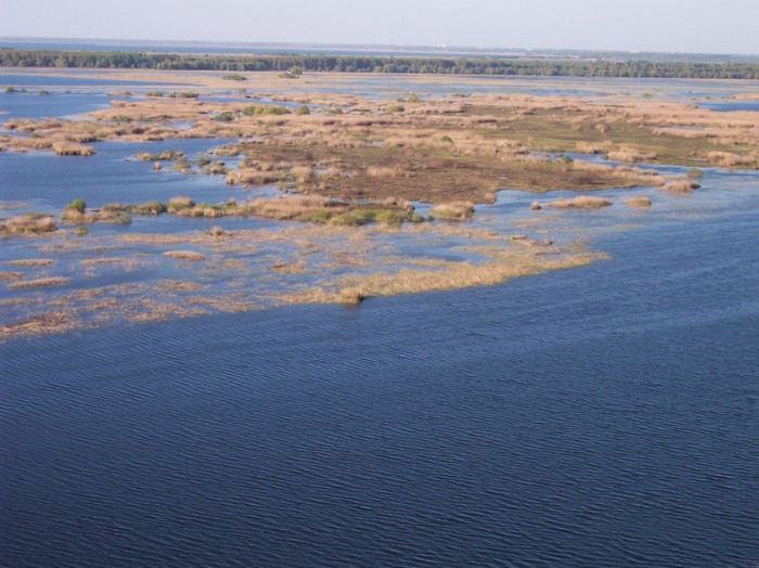  - somova delta dunarii foto