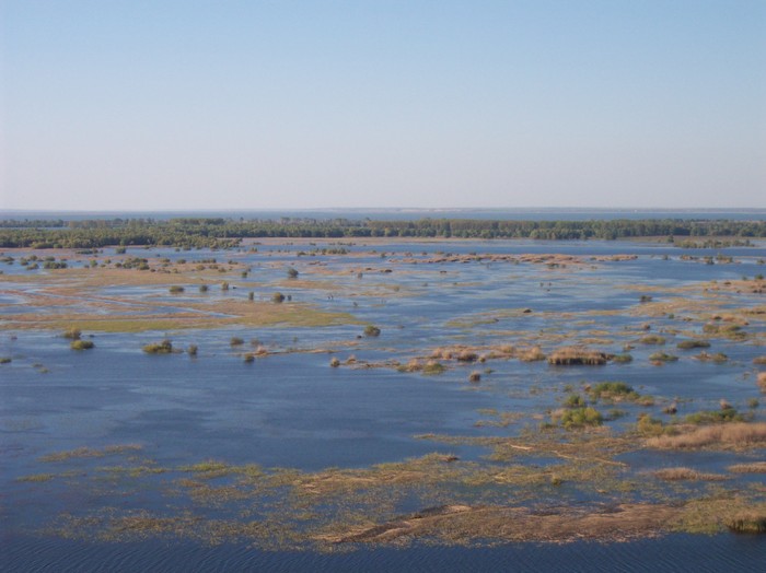  - somova delta dunarii foto