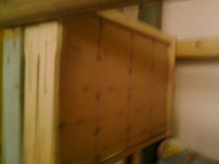 Fotografii-0048; foite
