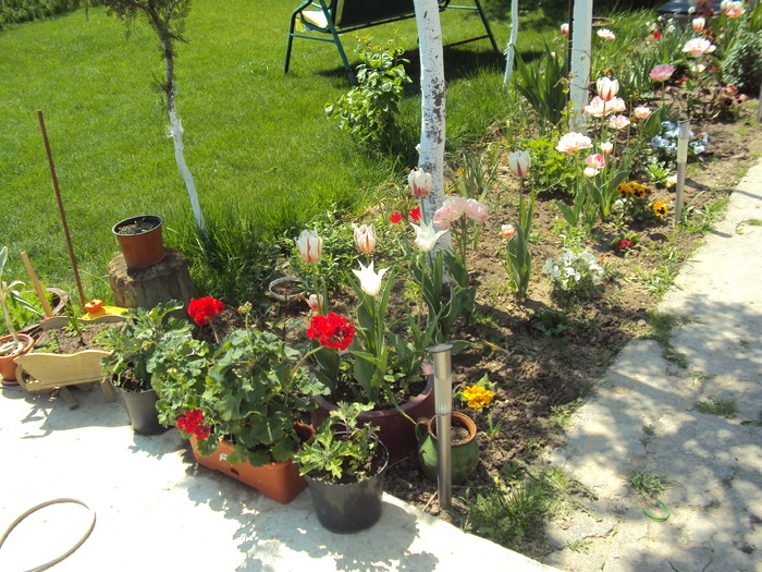 DSC01200