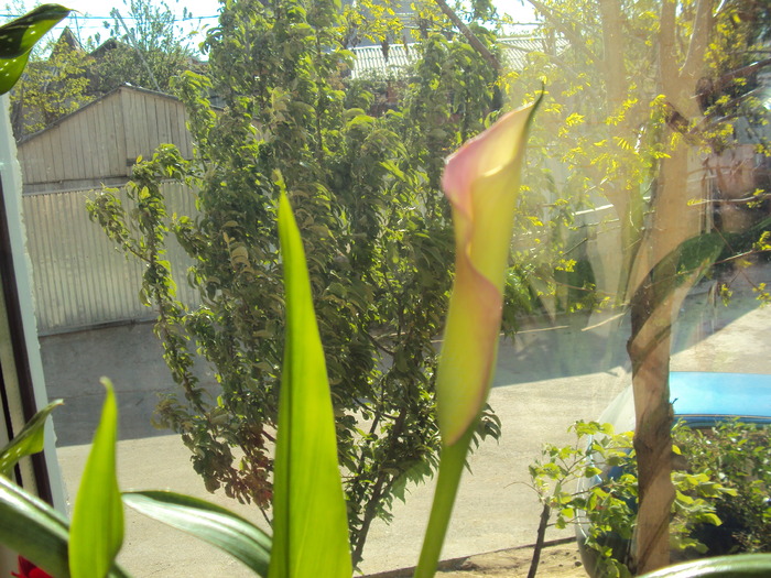 DSC01209