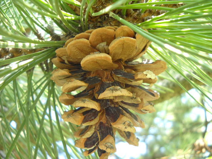 Picture 168 - natura 2010