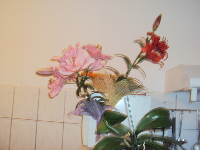DSC01212