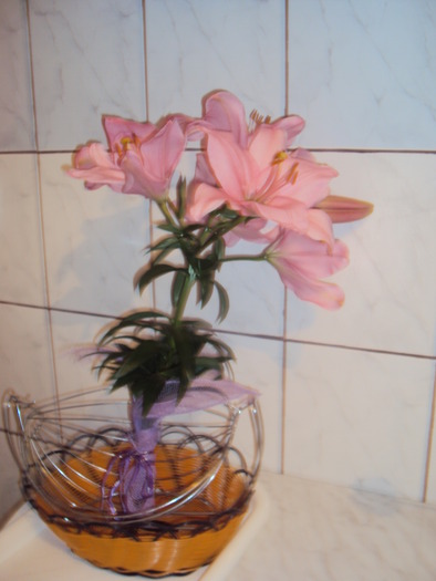 DSC01213