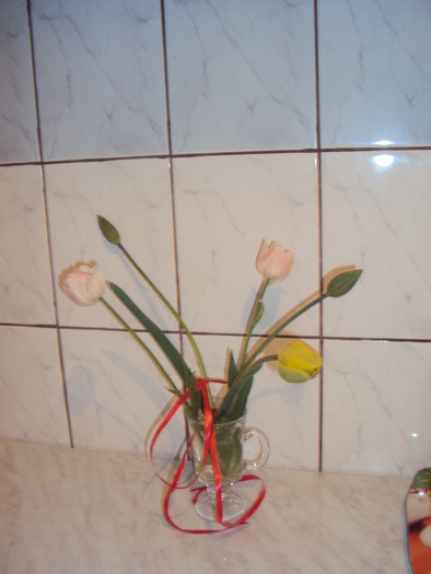 DSC01215