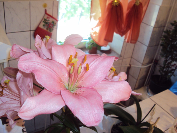DSC01218