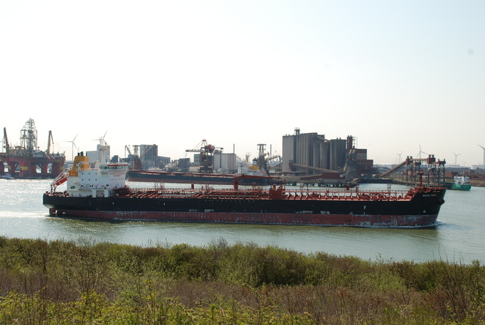 poze 952 - Poze din strainatate