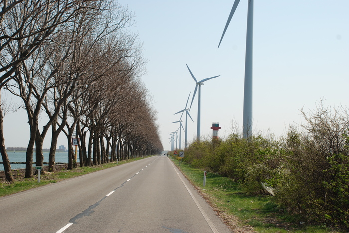  - Poze din strainatate