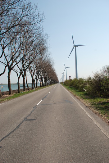  - Poze din strainatate