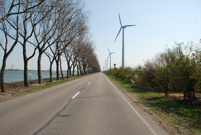  - Poze din strainatate