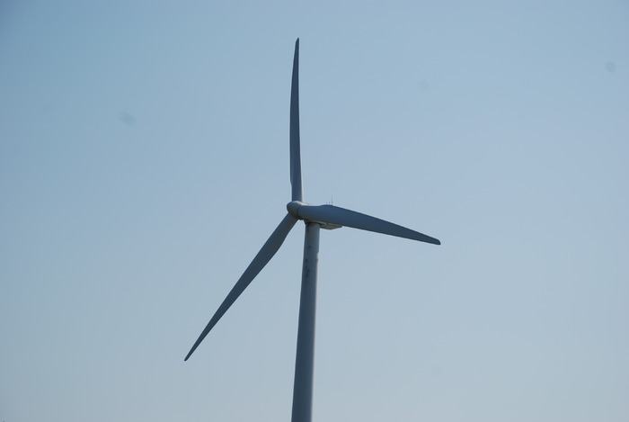  - Poze din strainatate