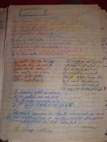 359638452_3883184231