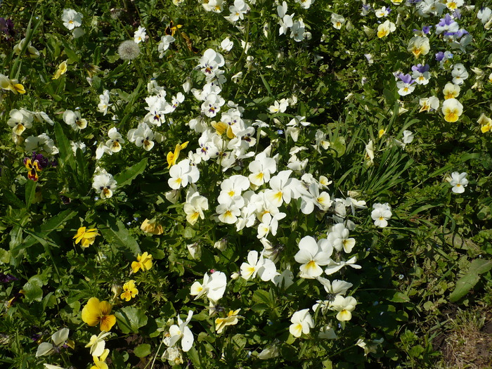 P1250619