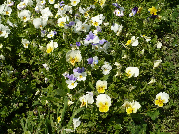 P1250620