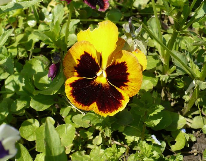 P1250652