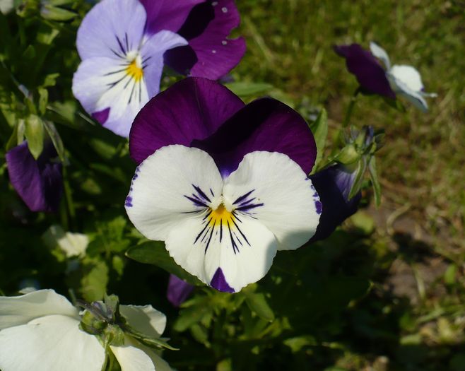 P1250657