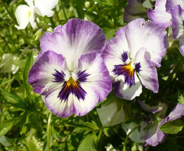 P1250661