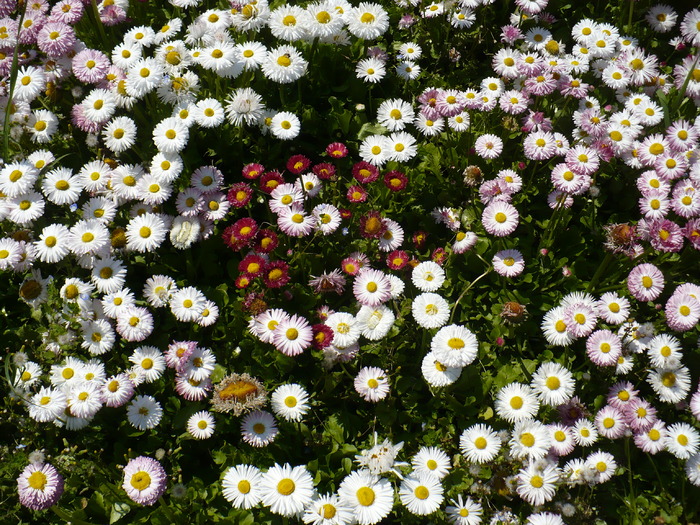 P1250664