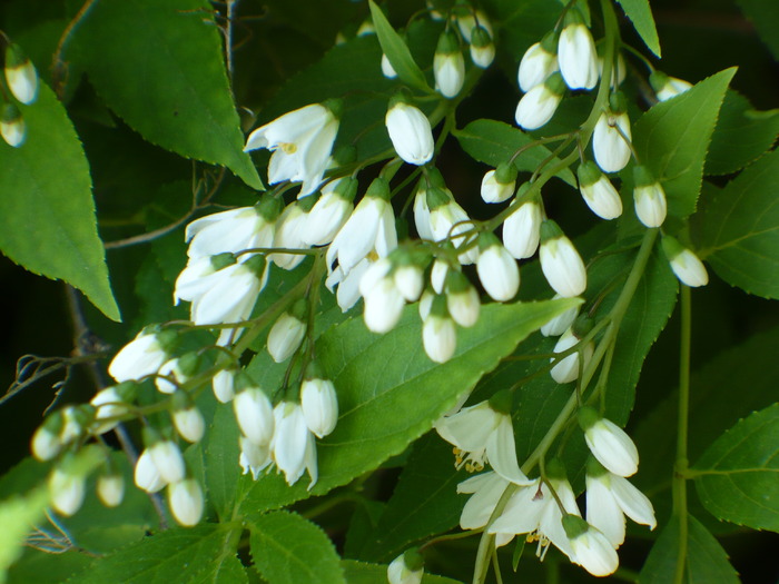 P1250669