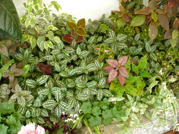 P1250684