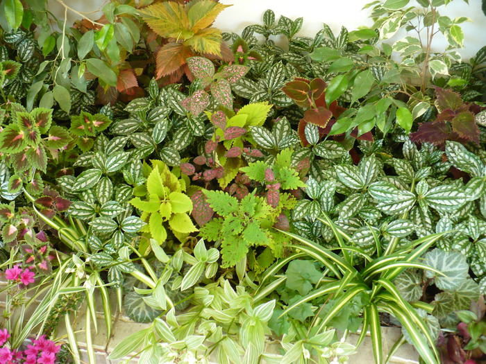 P1250688