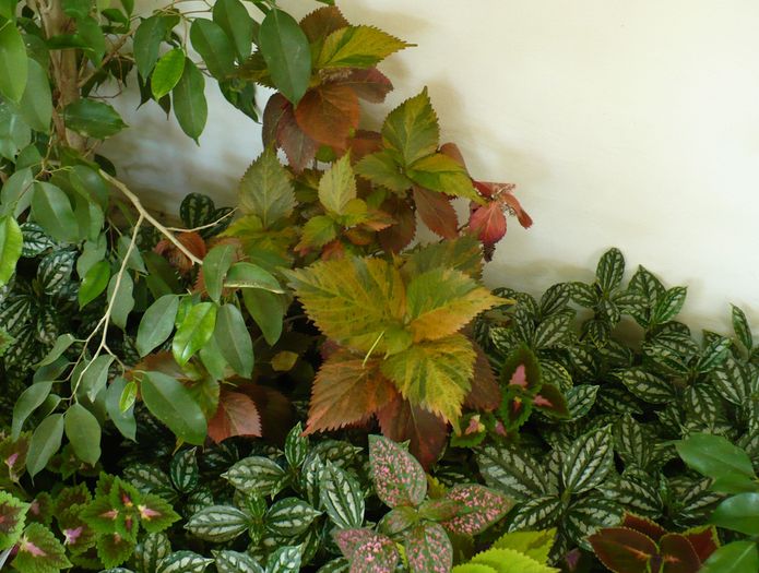 P1250689