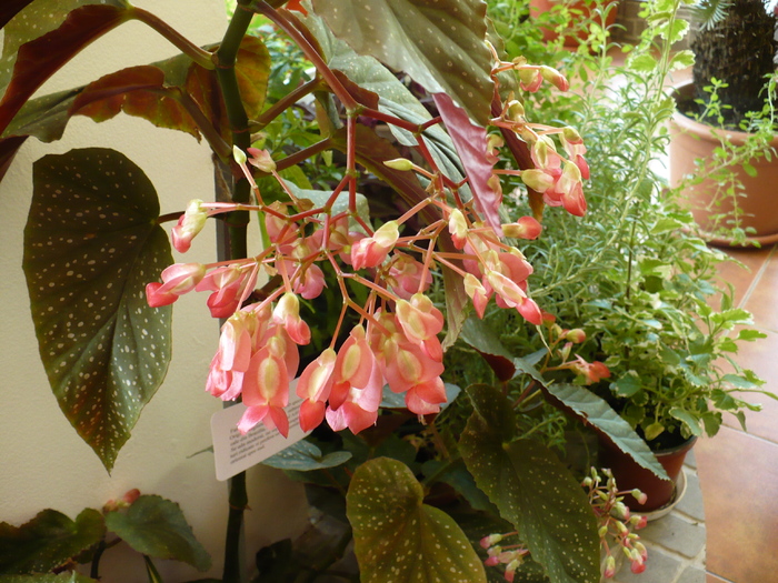 P1250691