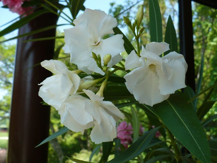 P1250706