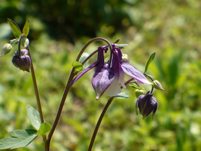 P1250726